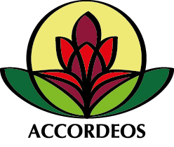 Accordeos